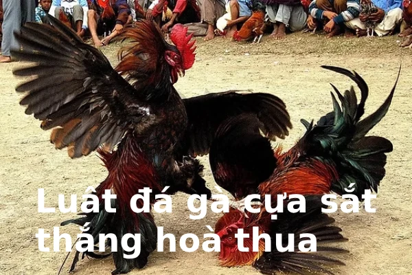 Miền Nam: Rõ ràng, trực tiếp và quyết liệt